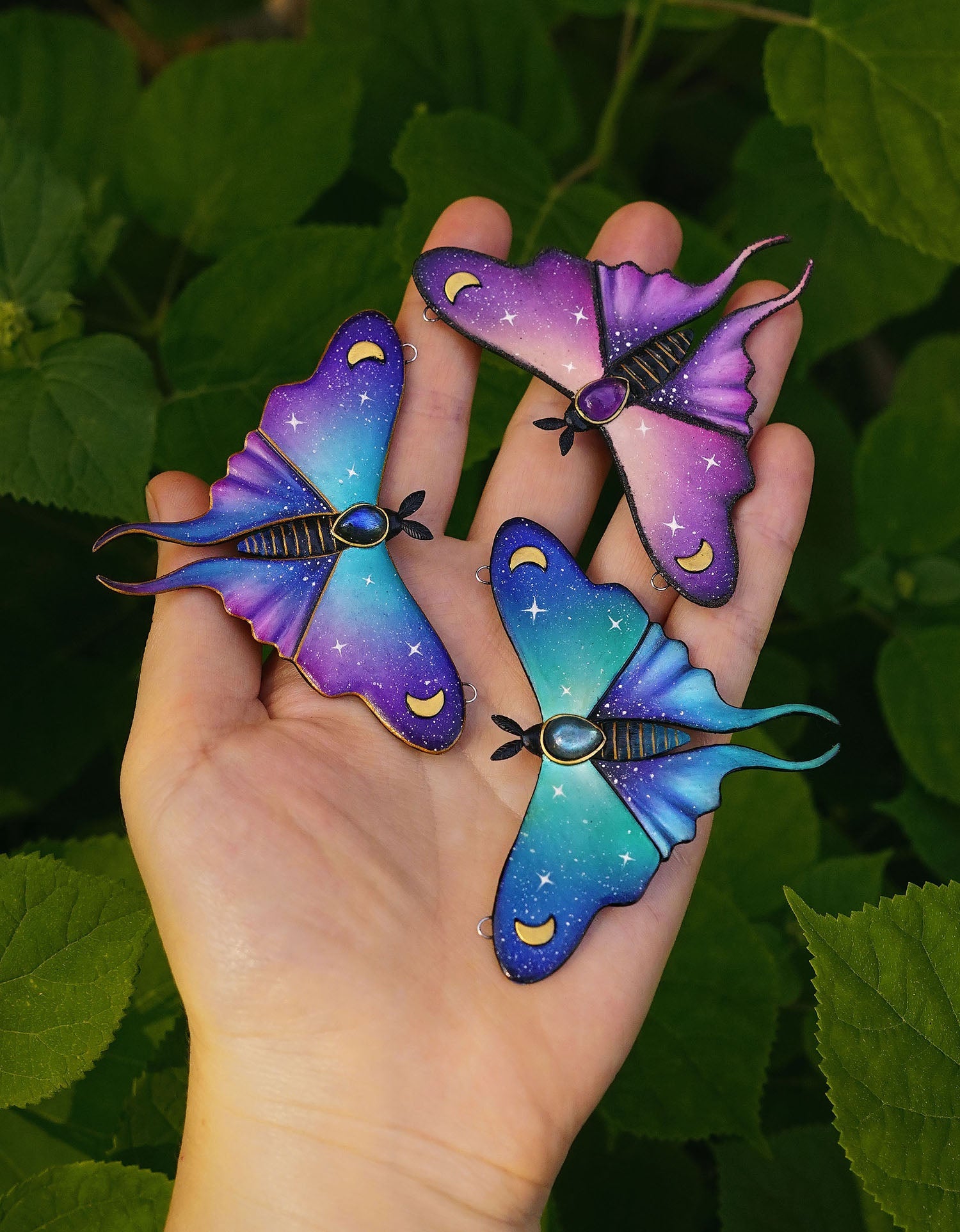 Butterflies & moths